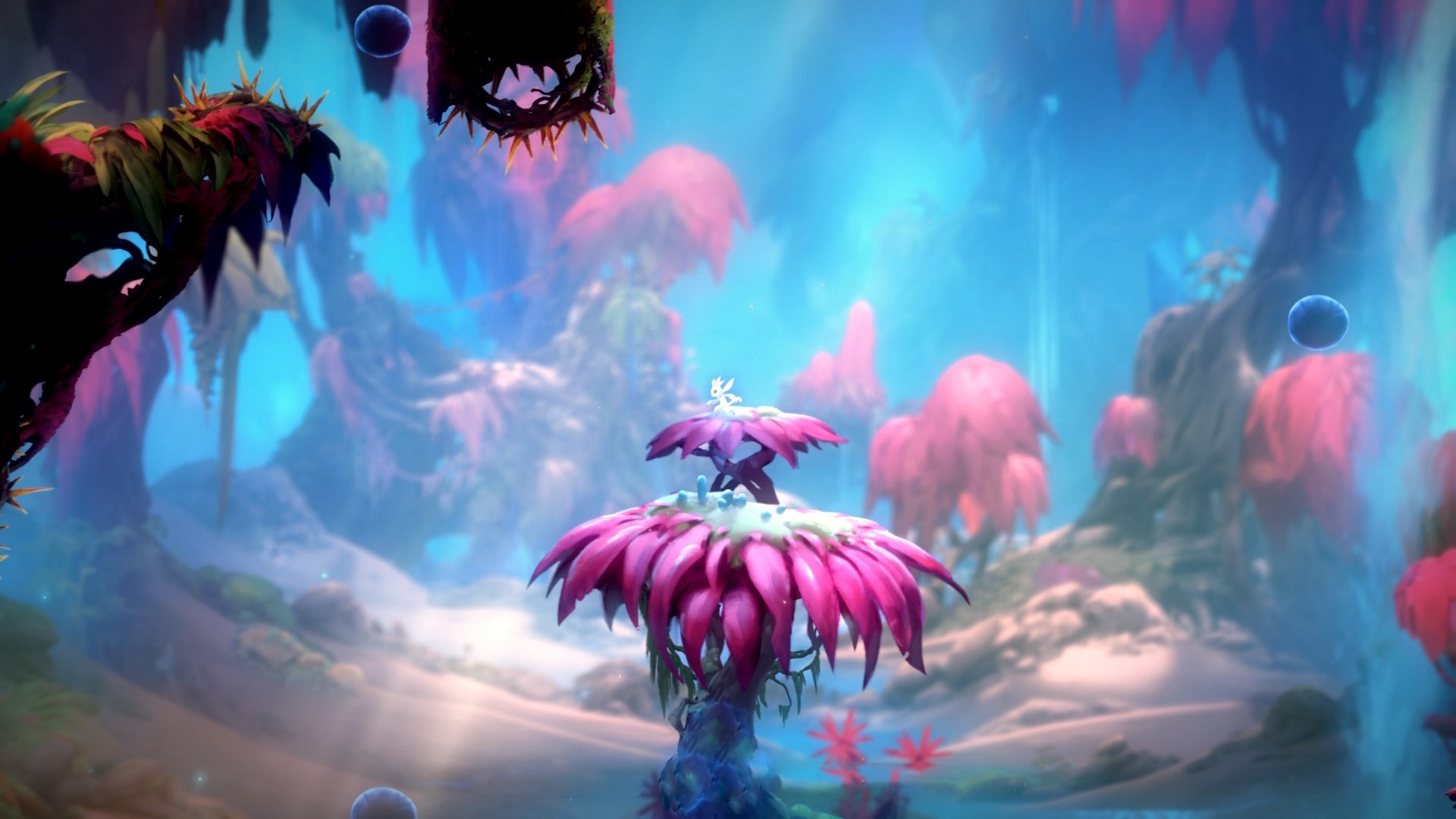 中国女篮赛场表现稳健自信,中国女篮的比赛实况